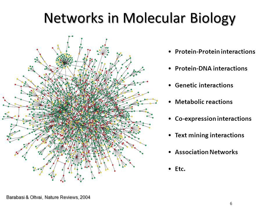Networks in molecular biology