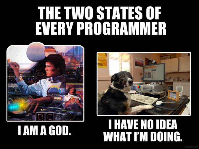 Meme showing two states of a programmer